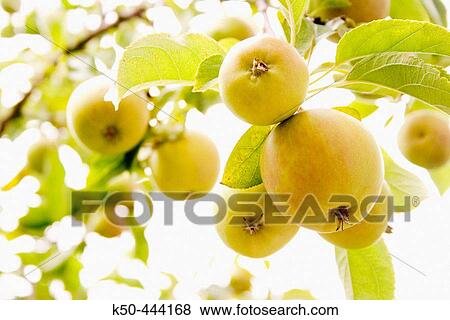 Agriculture & Farming View Large Photo Image Stock Photo - Agriculture & Farming. Fotosearch