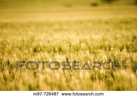 Agriculture & Farming View Large Photo Image Stock Photo - Agriculture & Farming. Fotosearch