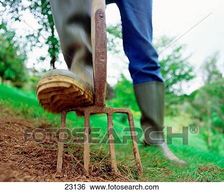 Stock Photograph - Agriculture & Farming. Fotosearch