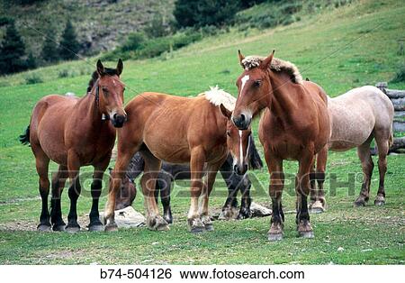 Agriculture & Farming View Large Photo Image Stock Photograph - Agriculture & Farming. Fotosearch