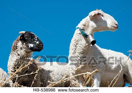 Agriculture & Farming View Large Photo Image Stock Photograph - Agriculture & Farming. Fotosearch