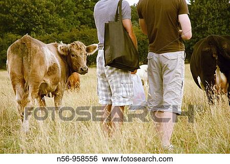 Agriculture & Farming View Large Photo Image Stock Photograph - Agriculture & Farming. Fotosearch