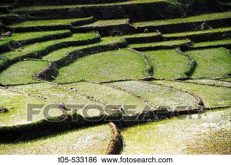 Agriculture & Farming View Large Photo Image Stock Photograph - Agriculture & Farming. Fotosearch