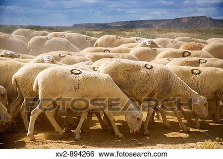 Agriculture & Farming View Large Photo Image Stock Photograph - Agriculture & Farming. Fotosearch