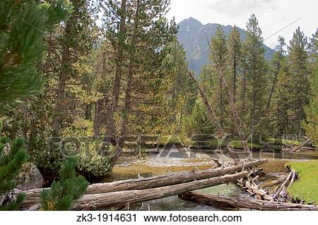 Stock Image - Aig? es-Tortes N P. Fotosearch