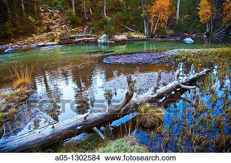 Picture - Aiguestortes area. Aig? estortes i Estany de Sant Maurici National Park, Pyrenees Mountains, Boi-Taull Valley. Alta Ribagor? a, Lleida province, Catalonia, Spain. Fotosearch