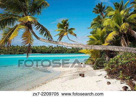 Aitutaki. Cook Island. Polynesia. South Pacific Ocean. Beach in One Foot Island. One Foot Island is asmall island in the district of Aitutaki of the Cook Islands in Australia. View Large Photo Image Stock Photography - Aitutaki. Cook Island. Polynesia. South Pacific Ocean. Beach in One Foot Island. One Foot Island is asmall island in the district of Aitutaki of the Cook Islands in Australia.. Fotosearch