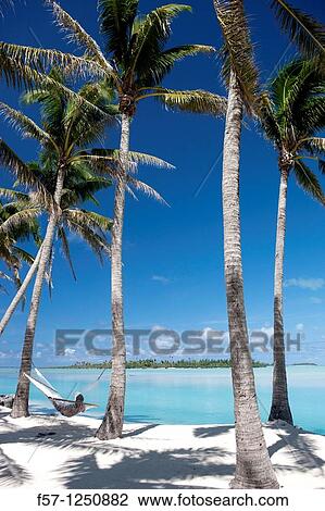 Aitutaki in The Cook Islands View Large Photo Image Stock Image - Aitutaki in The Cook Islands. Fotosearch
