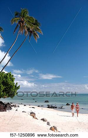 Aitutaki in The Cook Islands View Large Photo Image Stock Photograph - Aitutaki in The Cook Islands. Fotosearch