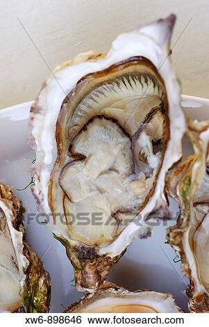 Stock Photograph - Alain CASTE Photographe ( Paris) France. Fotosearch