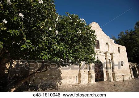 ALAMO MISSION SAN ANTONIO DE VALERO ALAMO PLAZA DOWNTOWN SAN ANTONIO TEXAS USA View Large Photo Image Stock Photograph - ALAMO MISSION SAN ANTONIO DE VALERO ALAMO PLAZA DOWNTOWN SAN ANTONIO TEXAS USA. Fotosearch