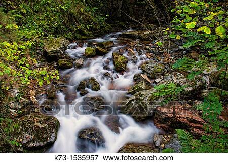 Alba River. Redes Natural Park and Biosphere Reserve. Soto de Agues. Concejo de Sobrescobio. Asturias. Spain. View Large Photo Image Stock Photo - Alba River. Redes Natural Park and Biosphere Reserve. Soto de Agues. Concejo de Sobrescobio. Asturias. Spain.. Fotosearch