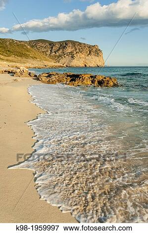 Stock Photo - Albarca sand, - arenalet des Verger-, Llevant Natural Park, Art?. Mallorca, Balearic Islands, spain.. Fotosearch