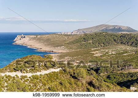 Albarca sand, - arenalet des Verger-, Llevant Natural Park, Art?. Mallorca, Balearic Islands, spain. View Large Photo Image Stock Photo - Albarca sand, - arenalet des Verger-, Llevant Natural Park, Art?. Mallorca, Balearic Islands, spain.. Fotosearch
