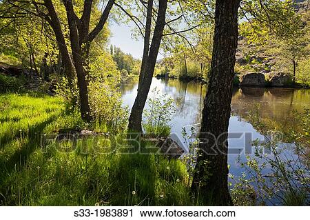 Alberche river in Hoyocasero. Avila. Castilla Leon. Spain. View Large Photo Image Stock Image - Alberche river in Hoyocasero. Avila. Castilla Leon. Spain.. Fotosearch