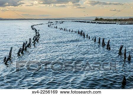 Albufera de Valencia, Mediterranean landscape, Spain. View Large Photo Image Stock Photo - Albufera de Valencia, Mediterranean landscape, Spain.. Fotosearch
