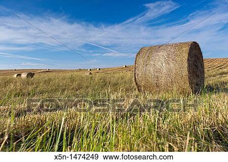Stock Photo - Alentejo, Portugal, Europe. Fotosearch