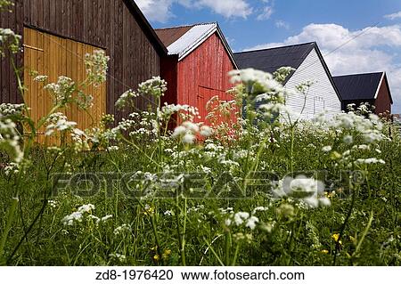 alesund in norway. View Large Photo Image Stock Image - alesund in norway.. Fotosearch