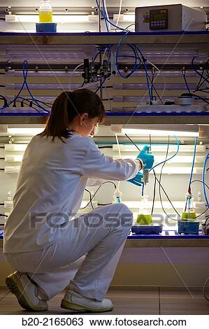 Algae culture. Algae biofuel research. Biotechnology Laboratory. Energy and Environment Division. Tecnalia Research and Innovation. Miano. Alava. Basque Country. Spain. View Large Photo Image Stock Image - Algae culture. Algae biofuel research. Biotechnology Laboratory. Energy and Environment Division. Tecnalia Research and Innovation. Miano. Alava. Basque Country. Spain.. Fotosearch