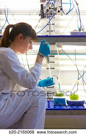 Algae culture. Algae biofuel research. Biotechnology Laboratory. Energy and Environment Division. Tecnalia Research and Innovation. Miano. Alava. Basque Country. Spain. View Large Photo Image Stock Photo - Algae culture. Algae biofuel research. Biotechnology Laboratory. Energy and Environment Division. Tecnalia Research and Innovation. Miano. Alava. Basque Country. Spain.. Fotosearch
