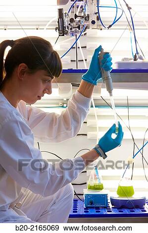 Stock Photo - Algae culture. Algae biofuel research. Biotechnology Laboratory. Energy and Environment Division. Tecnalia Research and Innovation. Miano. Alava. Basque Country. Spain.. Fotosearch