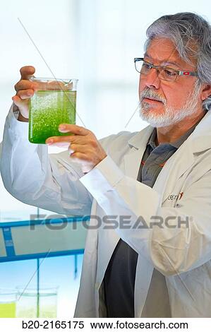 Stock Photography - Algae culture. Algae biofuel research. Organic Laboratory. Energy and Environment Division. Tecnalia Research and Innovation. Donostia. San Sebastian. Gipuzkoa. Basque Country. Spain.. Fotosearch