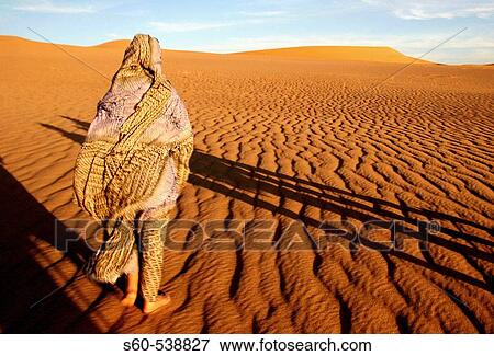 Algerian woman View Large Photo Image Stock Photo - Algerian woman. Fotosearch