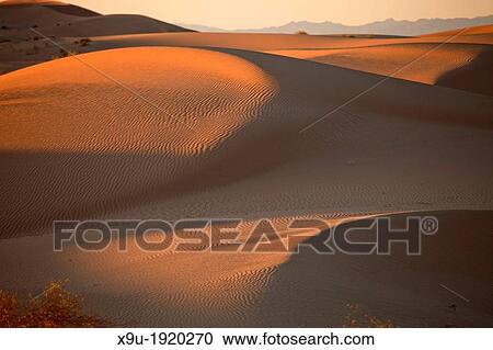 Algodones Dunes or Imperial Sand Dunes, Imperial County, California, United States of America, USA View Large Photo Image Stock Image - Algodones Dunes or Imperial Sand Dunes, Imperial County, California, United States of America, USA. Fotosearch