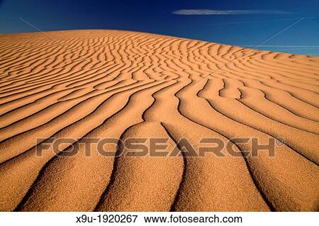Stock Photo - Algodones Dunes or Imperial Sand Dunes, Imperial County, California, United States of America, USA. Fotosearch
