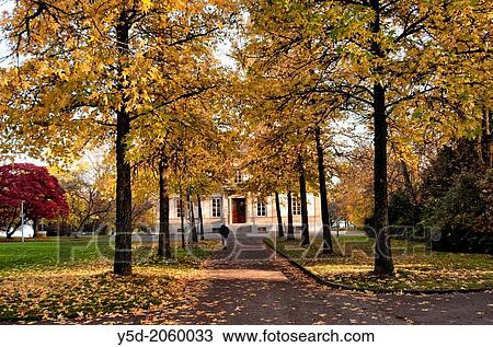 alley in Park? Perle du Lac? on Lake Geneva shore, autumn scene, Geneva, Switzerland View Large Photo Image Stock Image - alley in Park? Perle du Lac? on Lake Geneva shore, autumn scene, Geneva, Switzerland. Fotosearch
