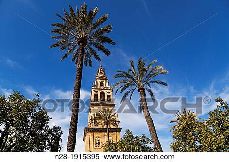 Stock Photography - Alminar Mezquita cathedral Cordoba Andalusia Spain.. Fotosearch