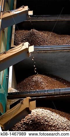 Stock Photo - Almonds processing, Spain. Fotosearch