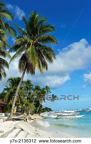 Alona beach at Panglao, Bohol island, Philippines, South East Asia. View Large Photo Image Stock Image - Alona beach at Panglao, Bohol island, Philippines, South East Asia.. Fotosearch