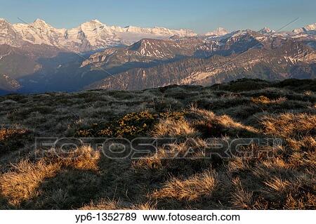 alpine landscape with Eiger, Monch and Jungfrau, Bernese Oberland, Switzerland View Large Photo Image Stock Photo - alpine landscape with Eiger, Monch and Jungfrau, Bernese Oberland, Switzerland. Fotosearch
