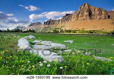 Alpine meadows at Logan Pass with the Garden Wall and Bishop's Cap in the distance, Glacier National Park Montana USA View Large Photo Image Stock Photo - Alpine meadows at Logan Pass with the Garden Wall and Bishop's Cap in the distance, Glacier National Park Montana USA. Fotosearch