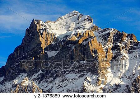 Alpine slopes looking towards the Wetterhorn Swiss Alps, Switzerland View Large Photo Image Stock Photo - Alpine slopes looking towards the Wetterhorn Swiss Alps, Switzerland. Fotosearch