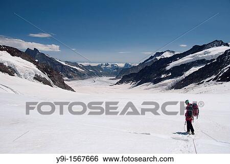 Alpinist in the Aletschgletscher glacier from the Jungfraufirn, Valais, Berner Oberland, Alps, Switzerland View Large Photo Image Stock Photograph - Alpinist in the Aletschgletscher glacier from the Jungfraufirn, Valais, Berner Oberland, Alps, Switzerland. Fotosearch