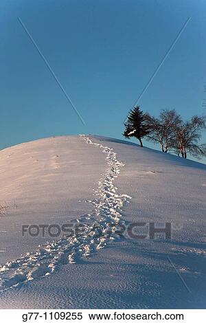 Stock Photography - Alps, Italy. Fotosearch