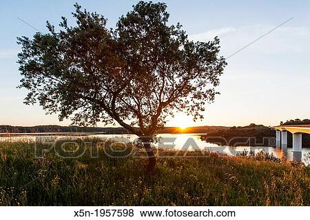 Stock Photo - Alqueva Dam, Alentejo, Portugal, Europe.. Fotosearch