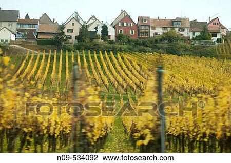 Alsace, France View Large Photo Image Stock Image - Alsace, France. Fotosearch