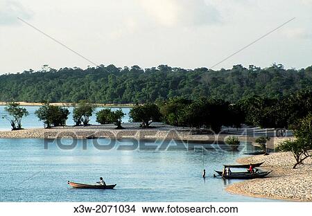 alter do chao, santarem area, state of para, amazon region, brazil, south america. View Large Photo Image Picture - alter do chao, santarem area, state of para, amazon region, brazil, south america.. Fotosearch