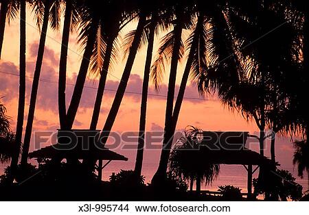 Ambon island Moluccas islands Indonesia View Large Photo Image Picture - Ambon island Moluccas islands Indonesia. Fotosearch