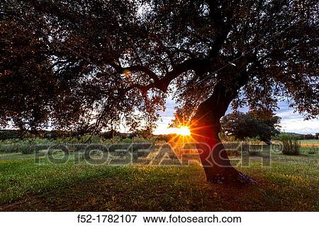 Ambroz Valley CBceres Extremadura Spain. View Large Photo Image Stock Photo - Ambroz Valley CBceres Extremadura Spain.. Fotosearch