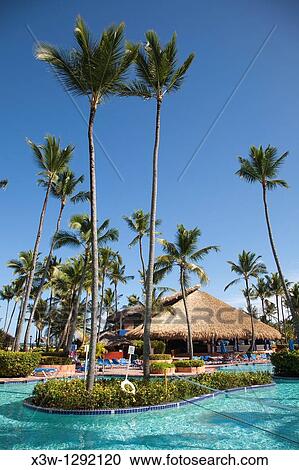 america, caribbean sea, hispaniola island, dominican republic, punta cana, hotel barcelo punta cana, swimming pool View Large Photo Image Stock Image - america, caribbean sea, hispaniola island, dominican republic, punta cana, hotel barcelo punta cana, swimming pool. Fotosearch