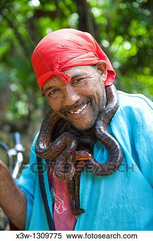 america, caribbean sea, hispaniola island, dominican republic, area of higuey, dominican man, snake boa View Large Photo Image Stock Photography - america, caribbean sea, hispaniola island, dominican republic, area of higuey, dominican man, snake boa. Fotosearch