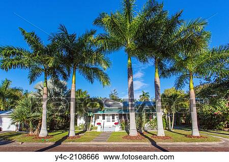 American Craftman bungalow house amoung tropical palm trees in Punta Gorda Florida. View Large Photo Image Stock Photograph - American Craftman bungalow house amoung tropical palm trees in Punta Gorda Florida.. Fotosearch