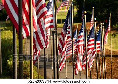 Picture - American flag display at Veterans Park. Each pole is engraved with the name of one or more veterans both living and deceased.. Fotosearch