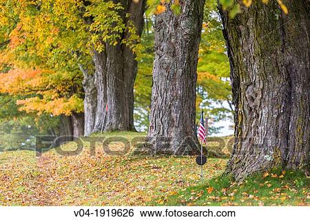 Stock Photograph - American flag in the historic cemetry in Peacham, Vermont, USA. Fotosearch