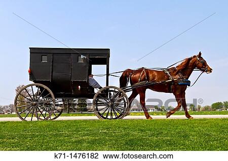 Amish and Mennonites in their horse and buggies in Shipshewana, Indiana, USA View Large Photo Image Stock Image - Amish and Mennonites in their horse and buggies in Shipshewana, Indiana, USA. Fotosearch