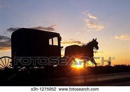 Stock Image - Amish horse-drawn buggy, Lancaster County, Pennsylvania, United States. Fotosearch